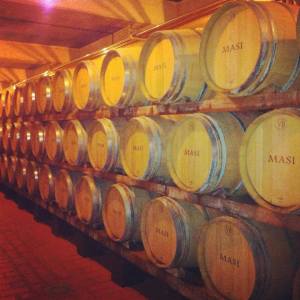 masi vino