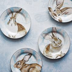 9a00f1bc86f84e6ebf82388e6059e074