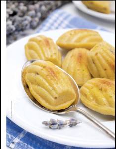 12670640_10209314812290218_4781923775800435016_n